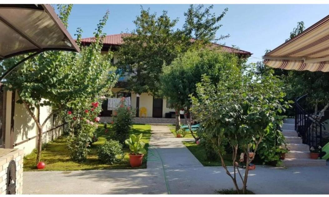 Hotel La Babusca à Două Mai Extérieur photo